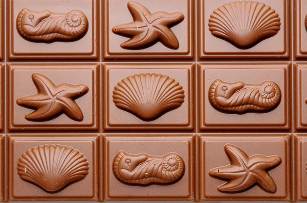 Chocolate and shells — Stock Photo, Image