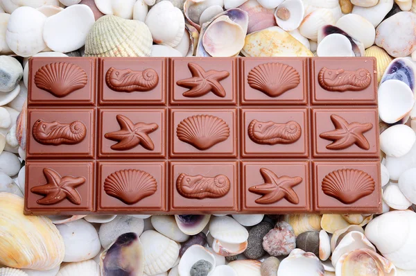 Chocolate and shells — Stock Photo, Image