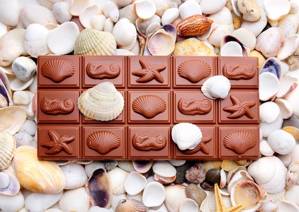 Chocolate and shells — Stock Photo, Image