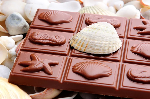 Chocolate and shells — Stock Photo, Image