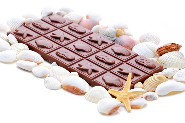 Chocolate and shells — Stock Photo, Image