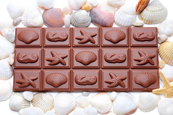 Cioccolato e conchiglie — Foto Stock