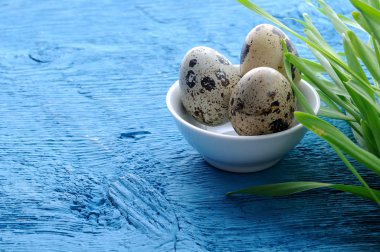 Ham organik bıldırcın yumurtası