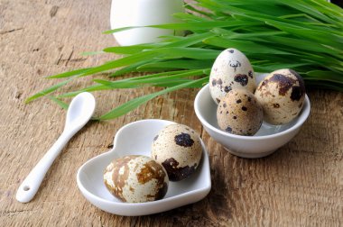 Ham organik bıldırcın yumurtası