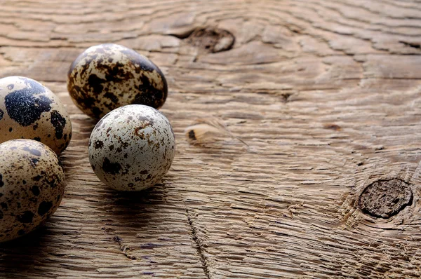 Huevos de codorniz orgánicos crudos — Foto de Stock