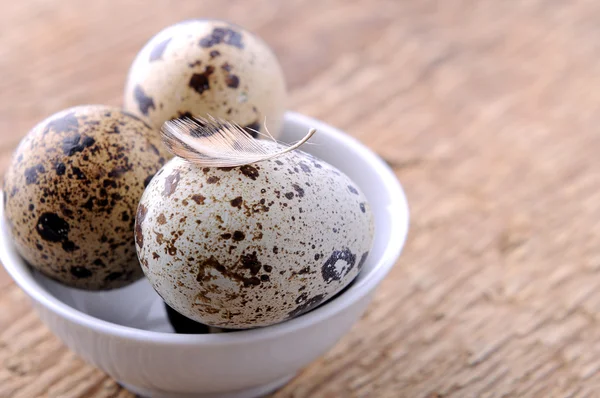 Huevos de codorniz orgánicos crudos — Foto de Stock