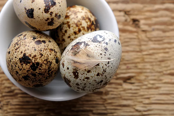 Huevos de codorniz orgánicos crudos — Foto de Stock