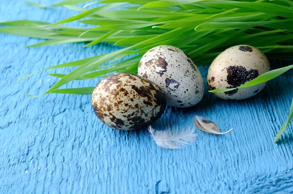 Huevos de codorniz orgánicos crudos — Foto de Stock