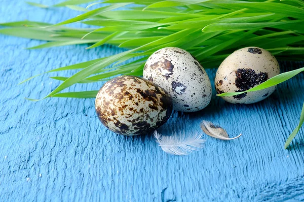 Ruwe organische kwarteleitjes — Stockfoto