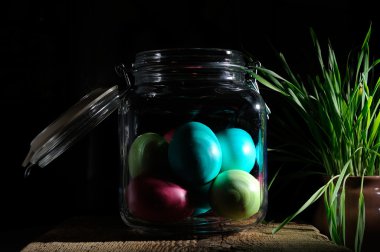 Ham organik bıldırcın yumurtası