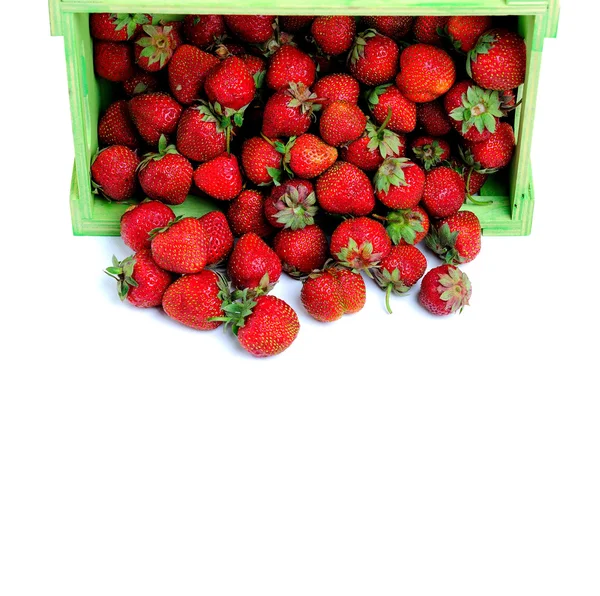 Organic natural strawberry — Stock fotografie