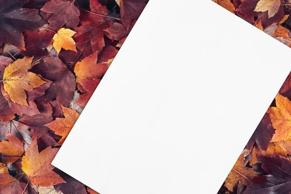 Empty white card mockup on fall leaves texture background. Stock Image