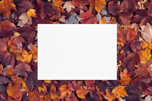 Vuoto bianco carta mockup su caduta foglie texture sfondo. — Foto Stock