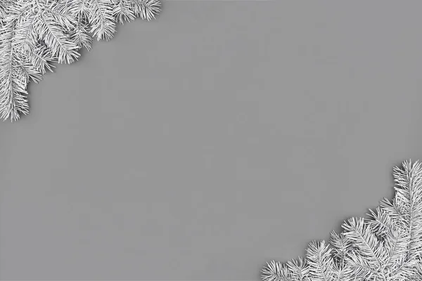 Composição de Natal com bordas de ramos de abeto cinza em fundo cinza — Fotografia de Stock