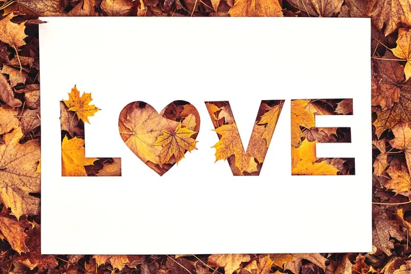 Tekst miłosny wycięty na białym papierze leżącym na tle jesiennych liści — Zdjęcie stockowe