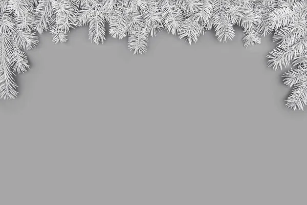 Vánoční kompozice s ohraničením šedých jedlových větví na šedém pozadí — Stock fotografie