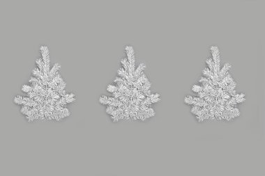 Gri arkaplanda doğal beyaz köknar dallarından yapılmış üç Noel ağacı