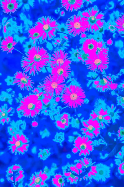 明るいピンクホログラフィックネオン色の夏の花 — ストック写真