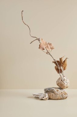 Taşlardan ve kuru dallardan oluşan doğa sahnesi