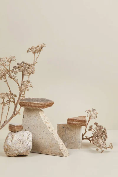 Nature scene with composition of stones and dry flowers — Stock Photo, Image