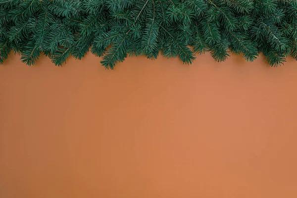 Granica puszystych zielonych gałęzi jodły na beżowym tle — Zdjęcie stockowe