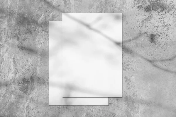 나무 그늘 이 있는 두 개의 빈 흰색 사각형 포스터 — 스톡 사진