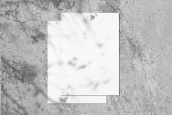 Два пустых белых прямоугольных макета плаката с тенью деревьев — стоковое фото
