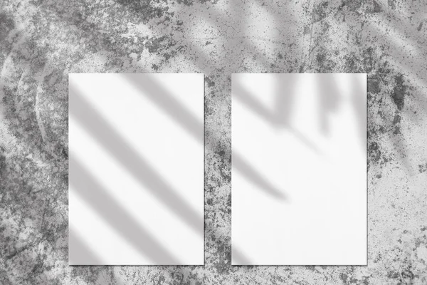 Dua poster mockups persegi panjang vertikal putih kosong dengan bayangan daun palem lembut — Stok Foto
