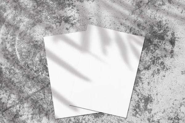 ヤシの影を持つ2つの空の白い長方形のポスター斜めのモックアップ — ストック写真