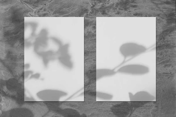Два пустых белых вертикальных макета плаката с мягкими листьями деревьев — стоковое фото