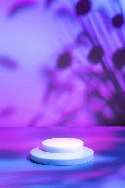 circle white podium on pastel neon background with shadows