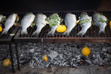 Akdeniz Balık Pişirme 