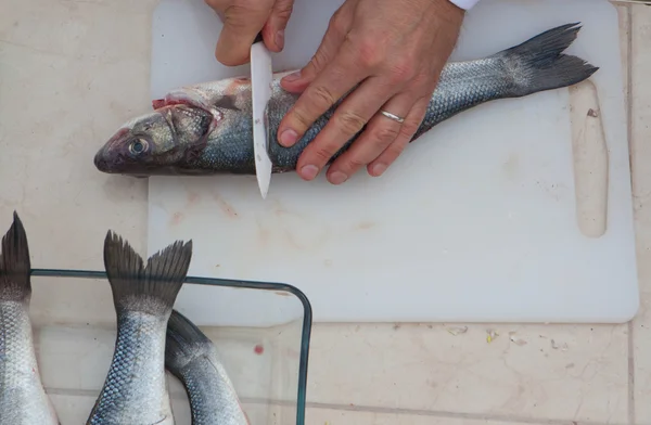 Preparación de pescado crudo para la harina — Foto de Stock