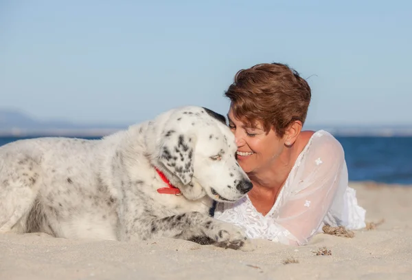 Kadın ile eski kurtarma köpeği ya da evde beslenen hayvan — Stok fotoğraf