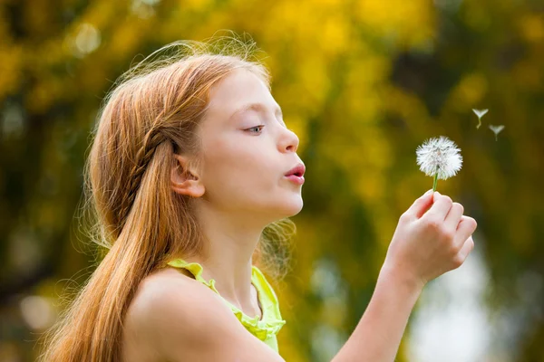 Desidera bambino che soffia dente di leone , — Foto Stock