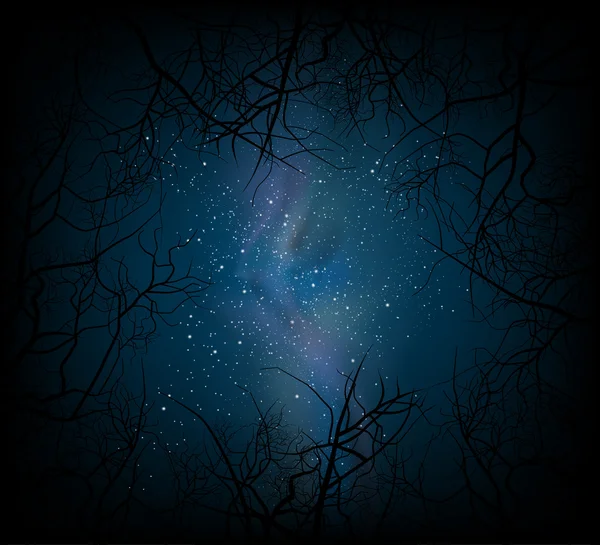 Ağaçları ile gece çekimi