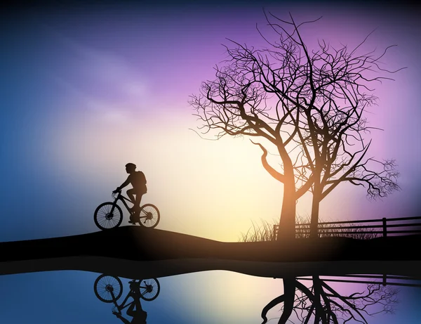 Cyclist in the park — Stock Vector