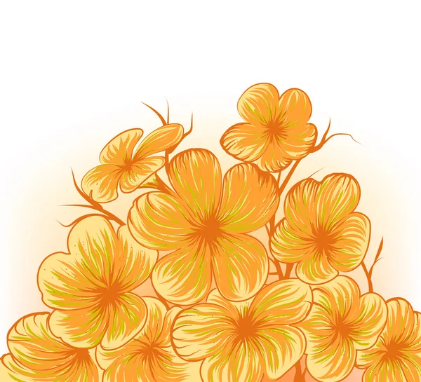Frangipani blomma scen hand ritning — Stock vektor
