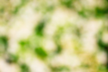 Parlaklık ve bulanıklık