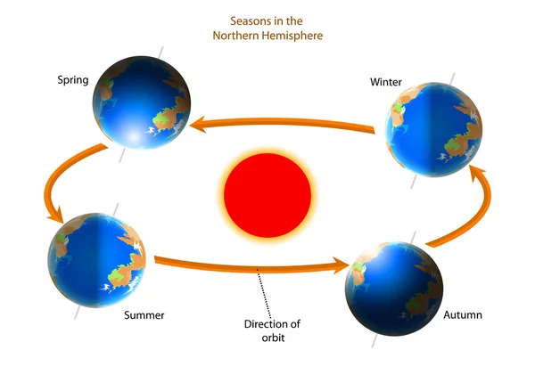 Cycle of seasons — Stock Vector