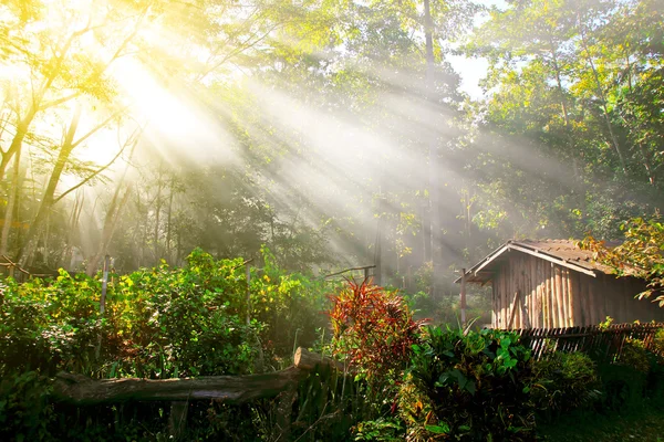 Morgen zon — Stockfoto