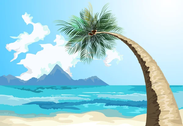 Palm on the beach — Stock Vector