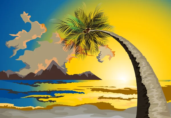 Palm op het strand in de schemering — Stockvector