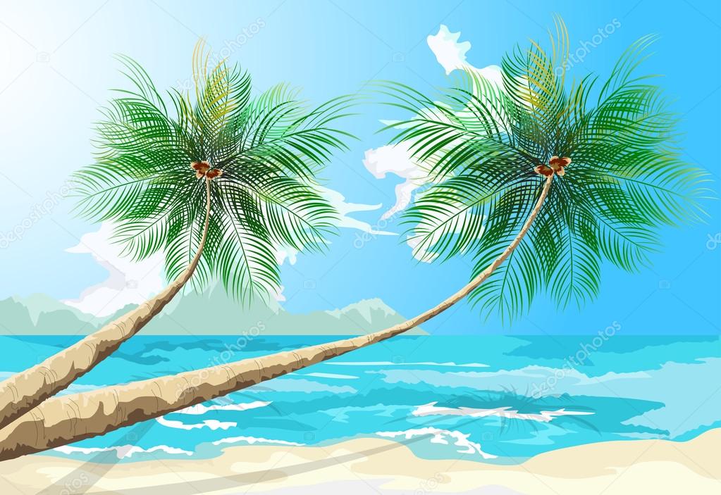 Palm trees scene