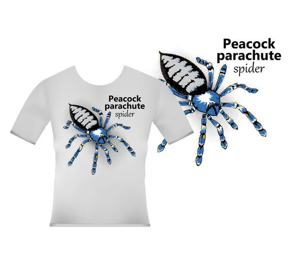 T-Shirts Grafik-Design mit Pfau Fallschirmspinne — Stockvektor