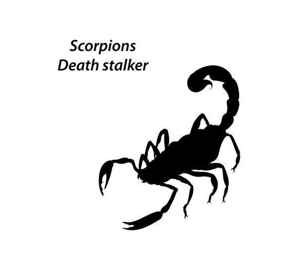 Skorpion Todesstalker-Vektor — Stockvektor