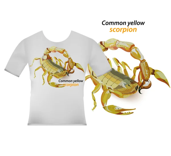 Wspólny żółty Skorpion na t-shirt — Wektor stockowy