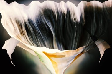 Egzotik şekil renk arka plan