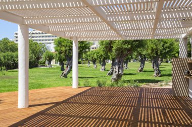  Yaz kafe deniz tatil.