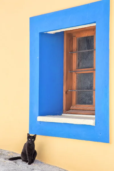 Kot siedzi w pobliżu blue box. — Zdjęcie stockowe